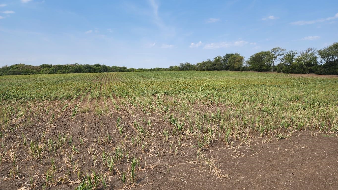 0 South 159th Street East Mulvane, KS 67110 - Photo 4 of 4