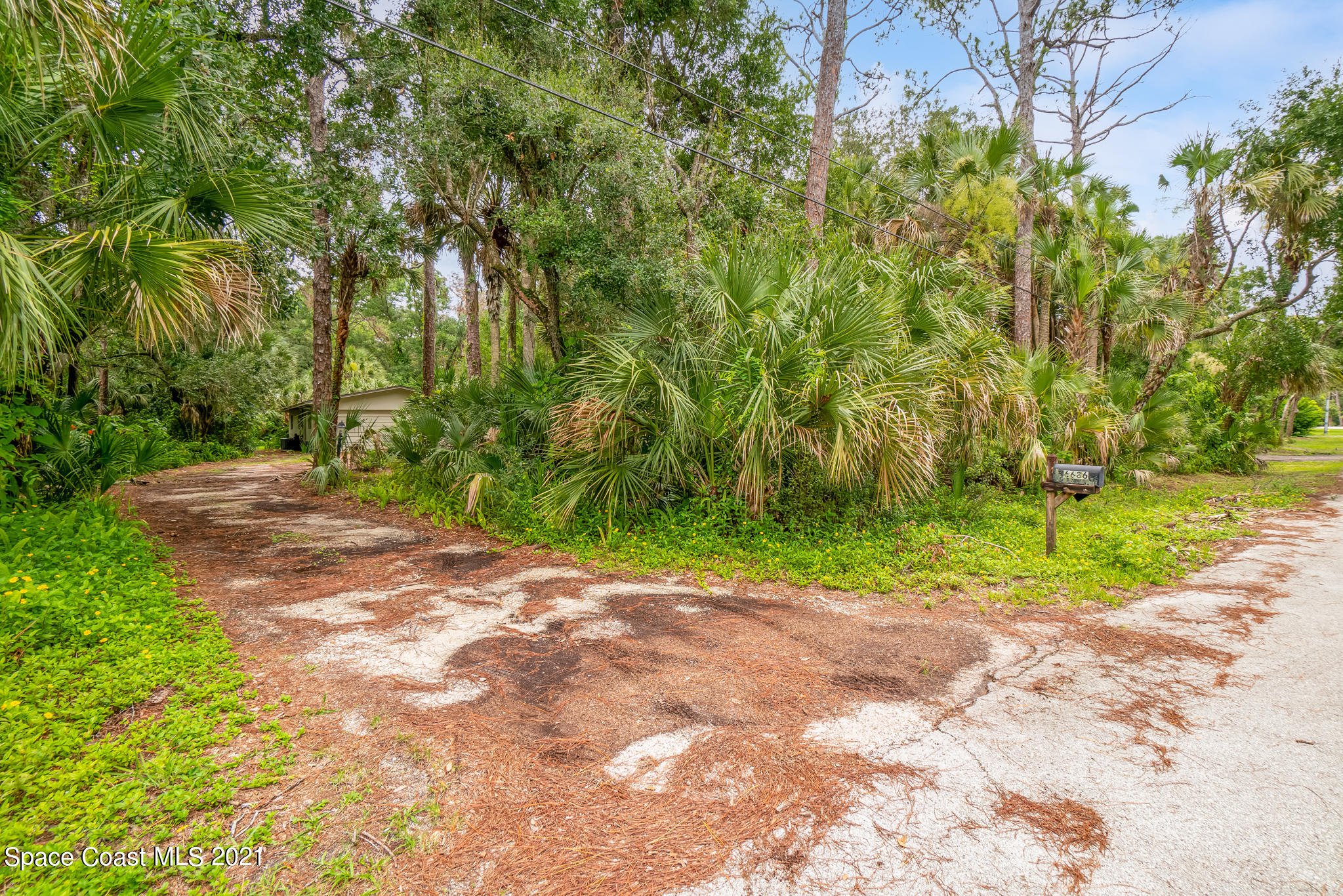 6686 Flamingo Road Melbourne Village, FL 32904 - Photo 28 of 30 a view of a yard with plants and trees