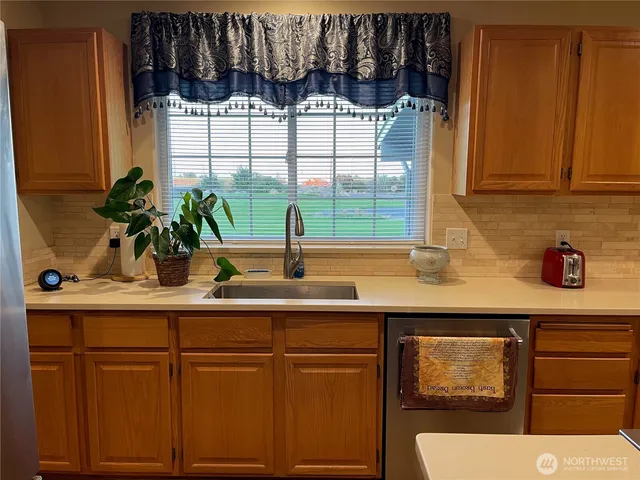 a kitchen with a sink and a potted plant