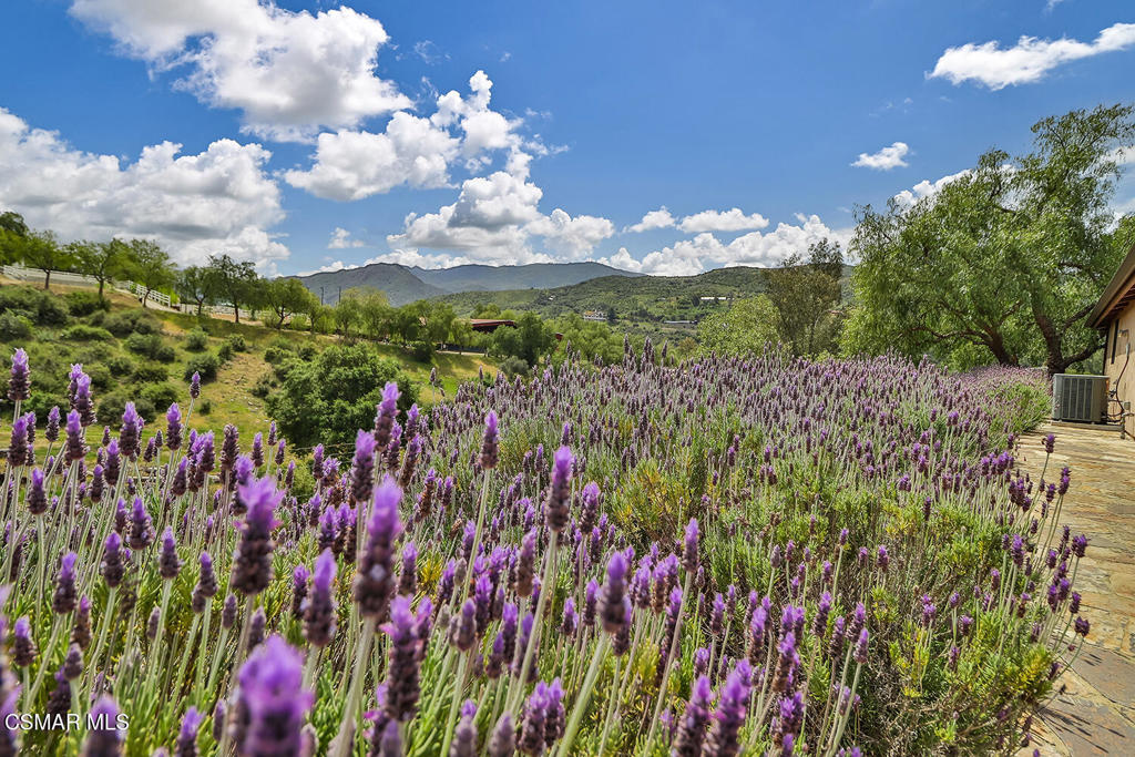 3030 Triunfo Canyon Road Agoura Hills, CA 91301 - Photo 38 of 50 a view of a flower