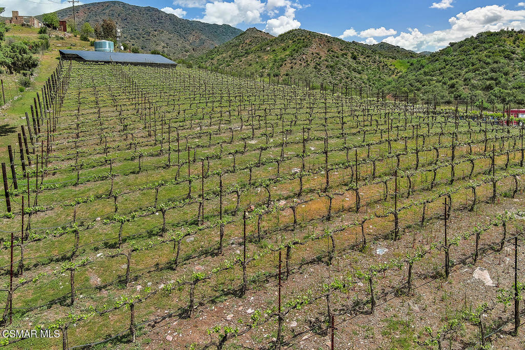 3030 Triunfo Canyon Road Agoura Hills, CA 91301 - Photo 48 of 50