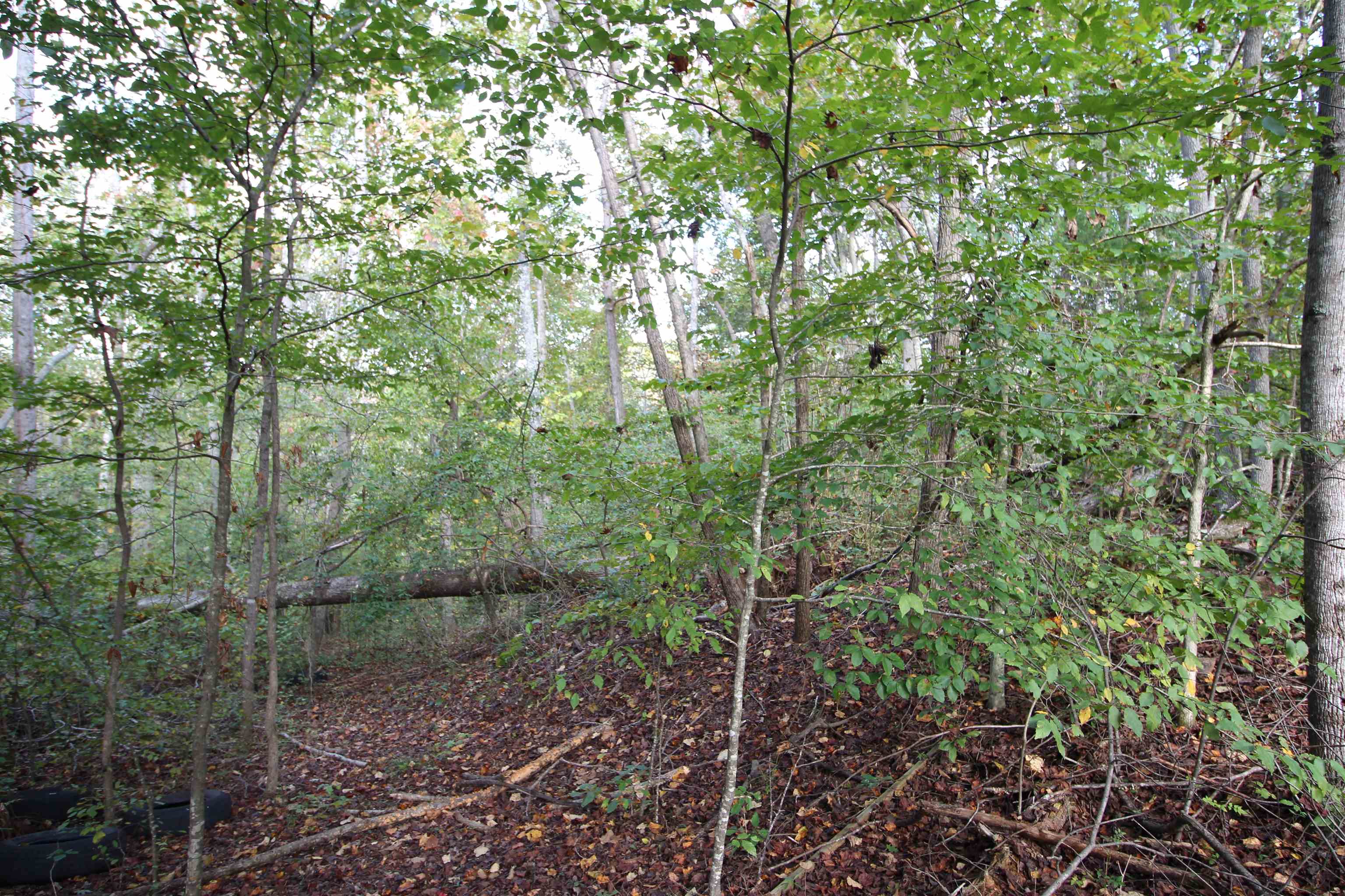1559 Country Estates Road Inman, SC 29349 - Photo 3 of 6