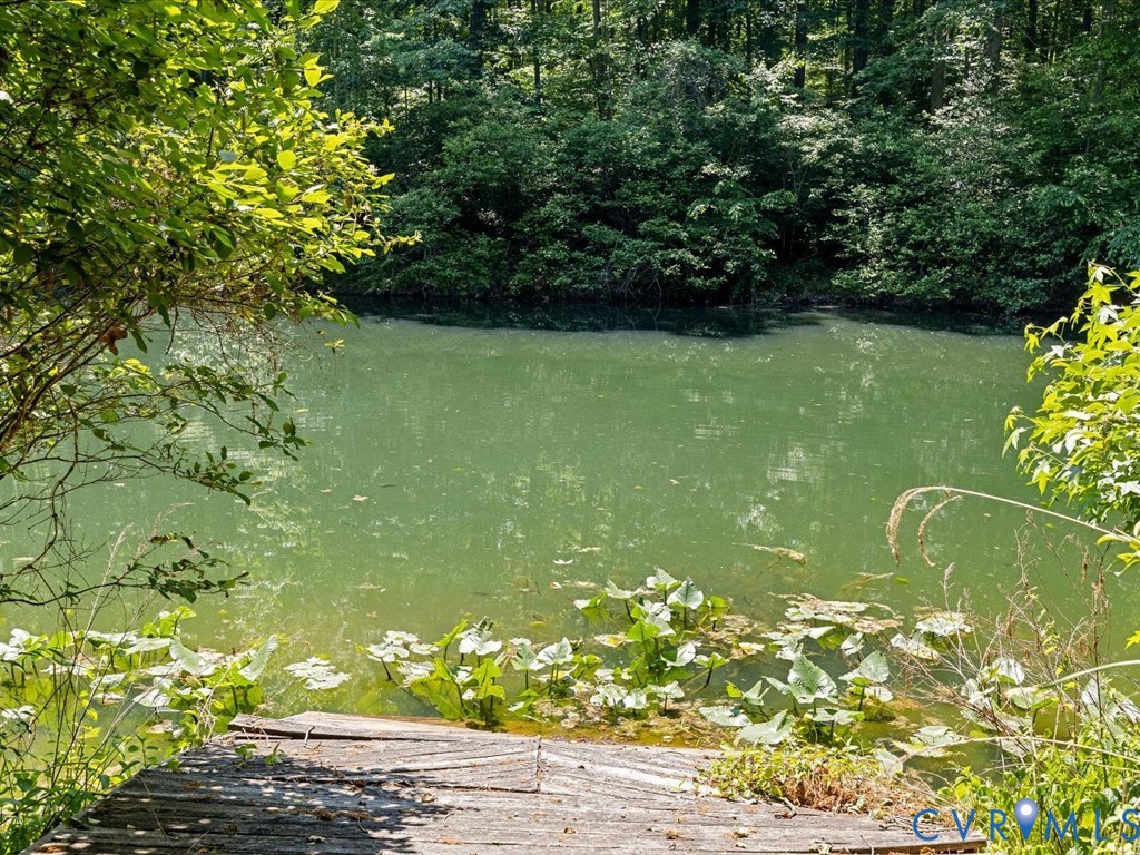 2556 Ridge Road Powhatan, VA 23139 - Photo 43 of 50
