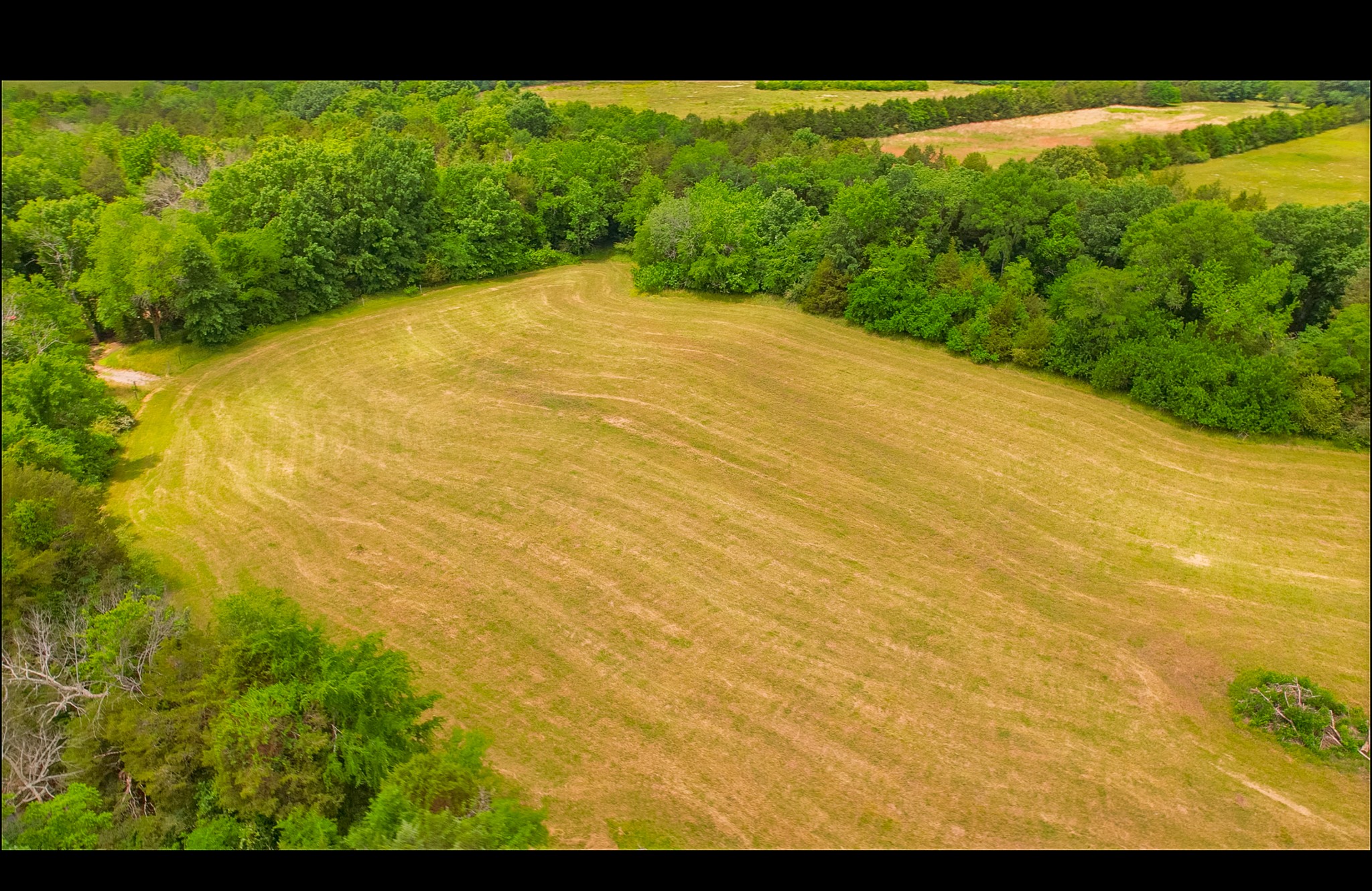 3147 Midland Fosterville Road Bell Buckle, TN 37020 - Photo 55 of 58 Gallery Image 55