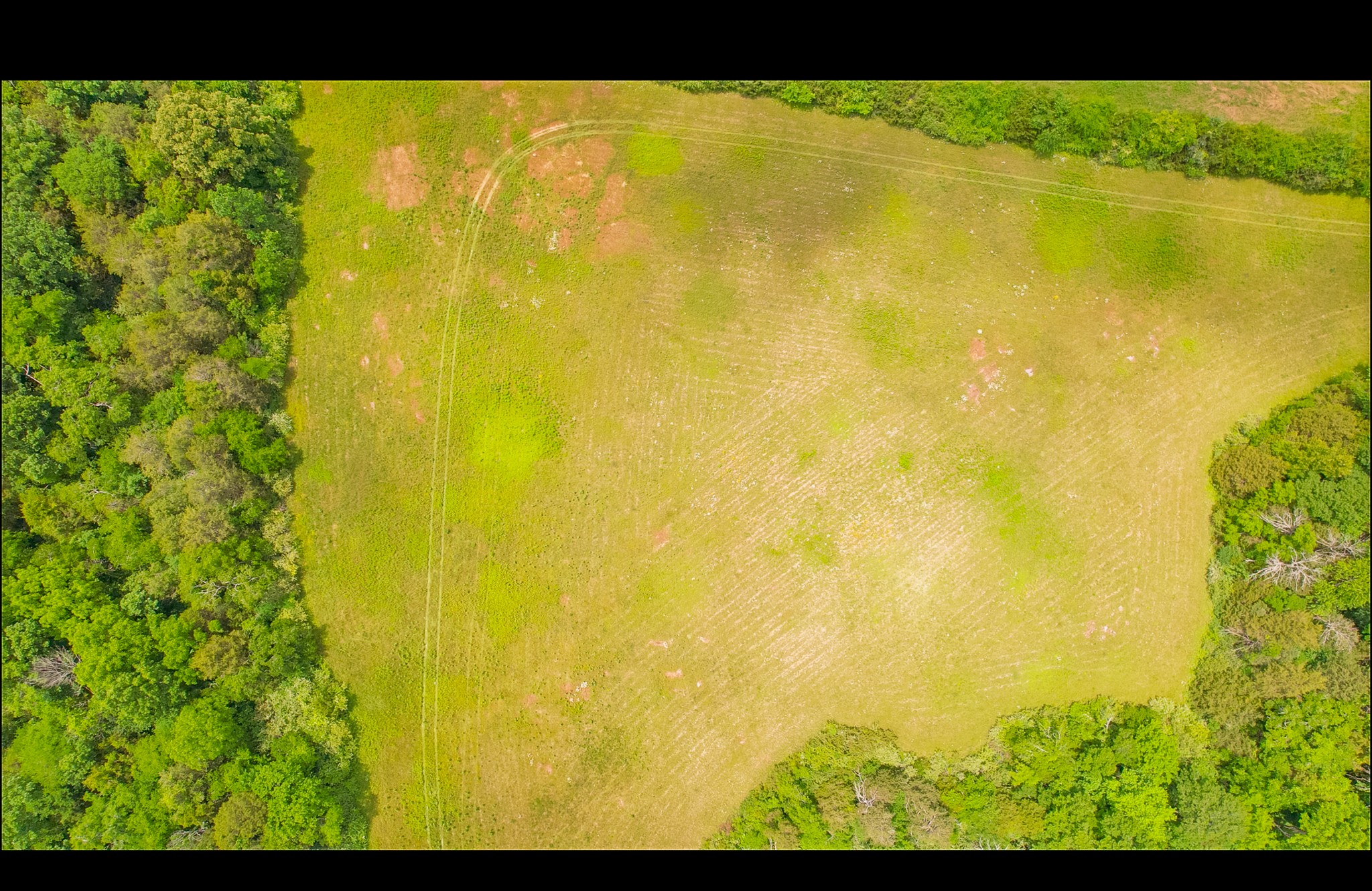 3147 Midland Fosterville Road Bell Buckle, TN 37020 - Photo 57 of 58 Gallery Image 57