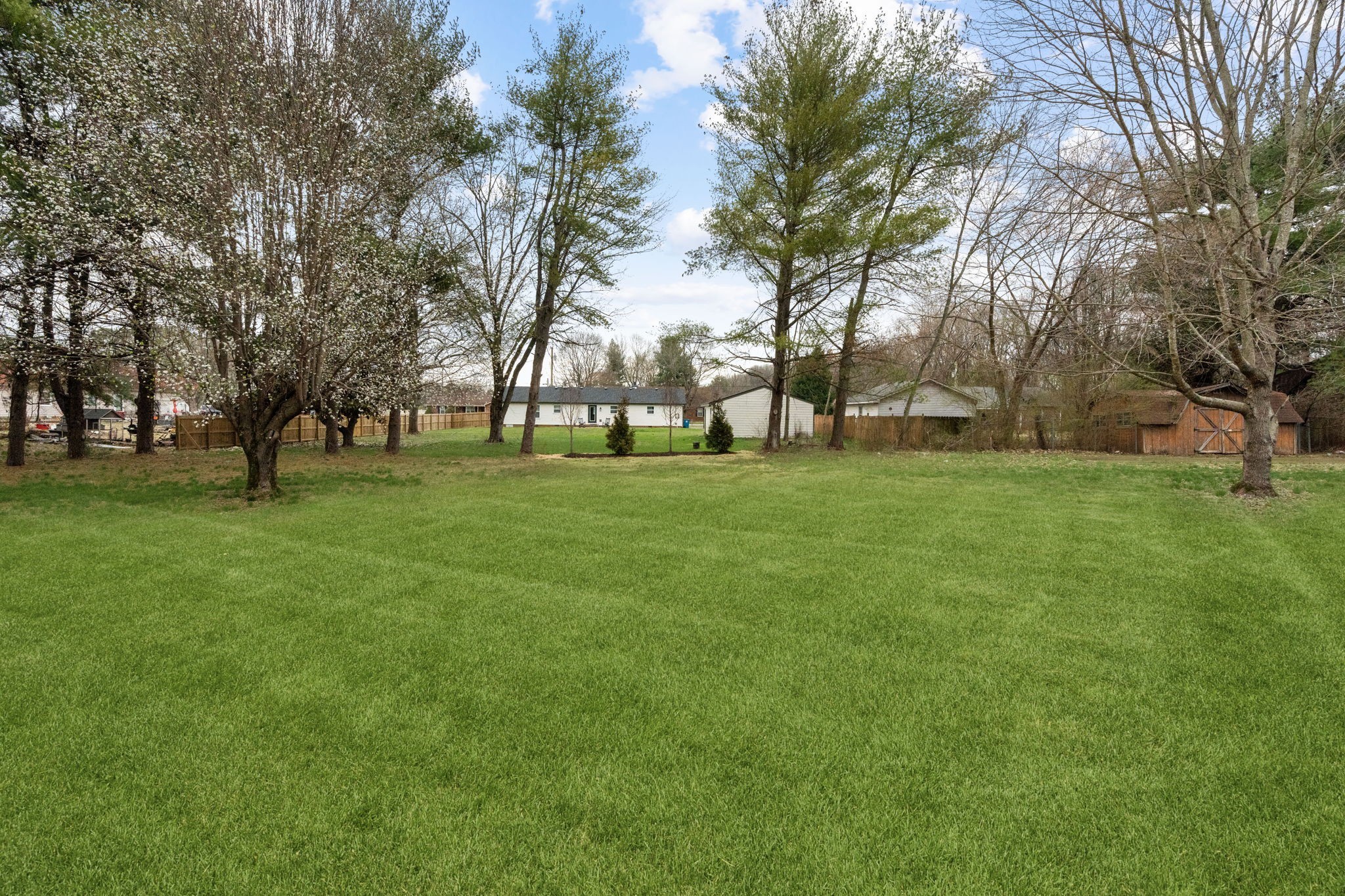 1017 Rucker Lane Murfreesboro, TN 37128 - Photo 61 of 61 a view of a trees with a big yard