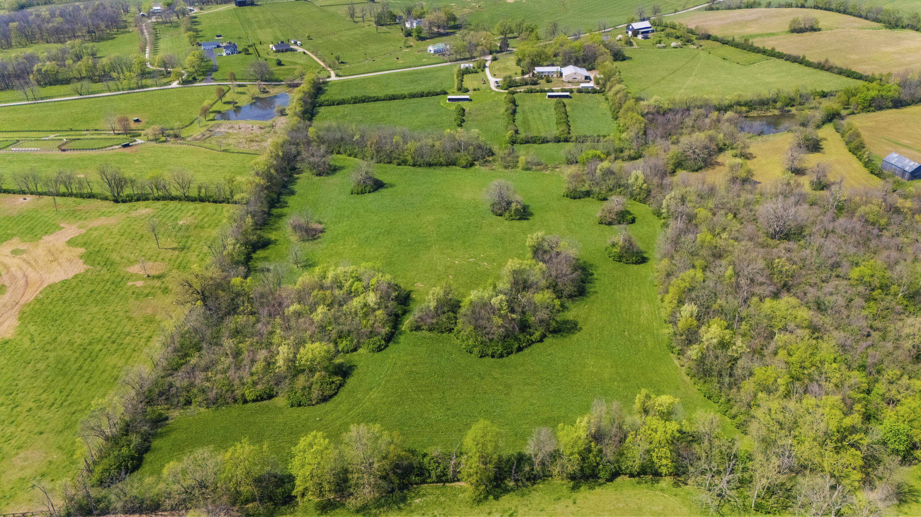 583 College Road Paris, KY 40361 - Photo 33 of 39 DJI_20260409145925_0149_D