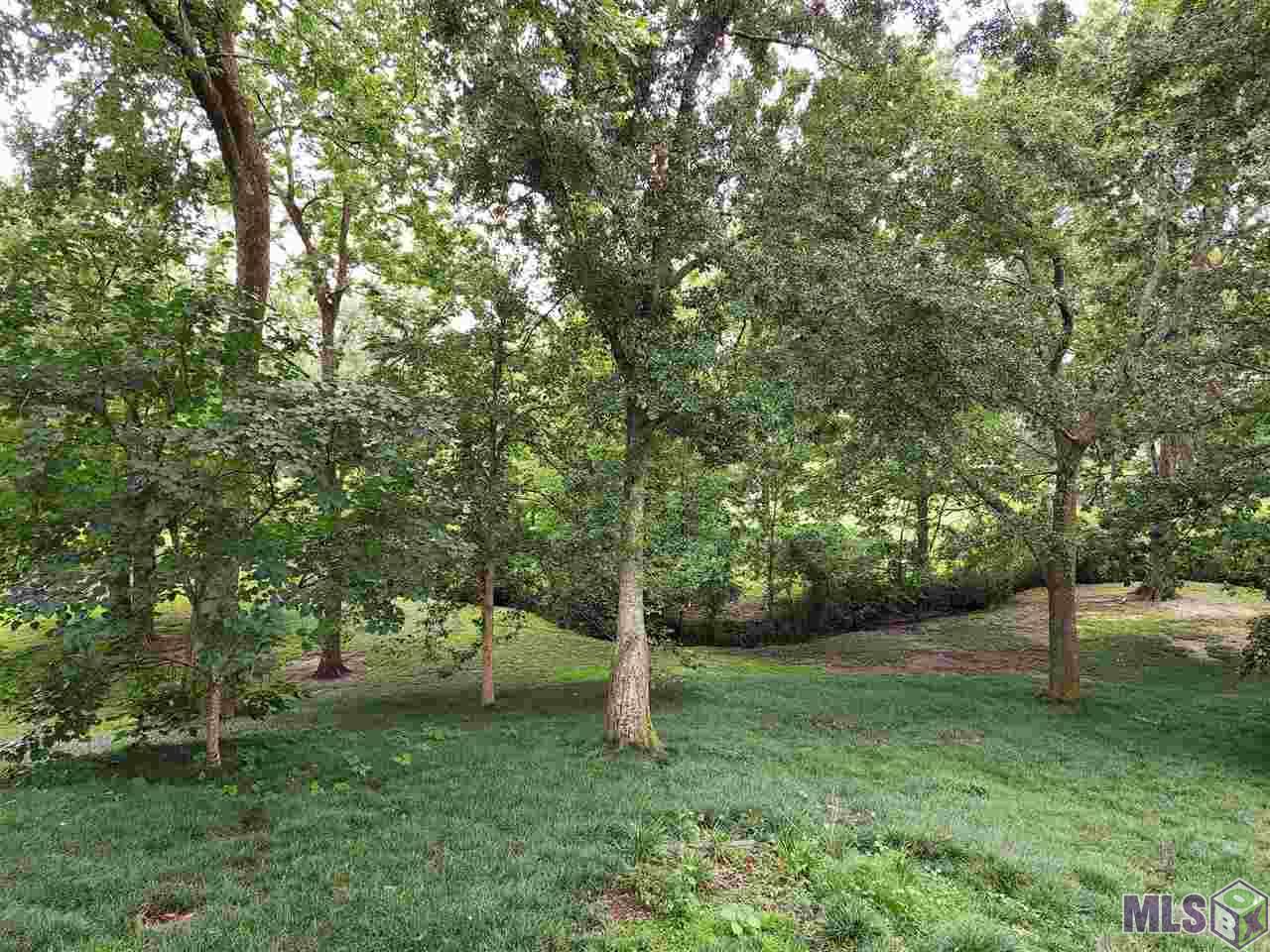 4540 Bluebell Drive Baton Rouge, LA 70808 - Photo 13 of 15 Gallery Image 13
