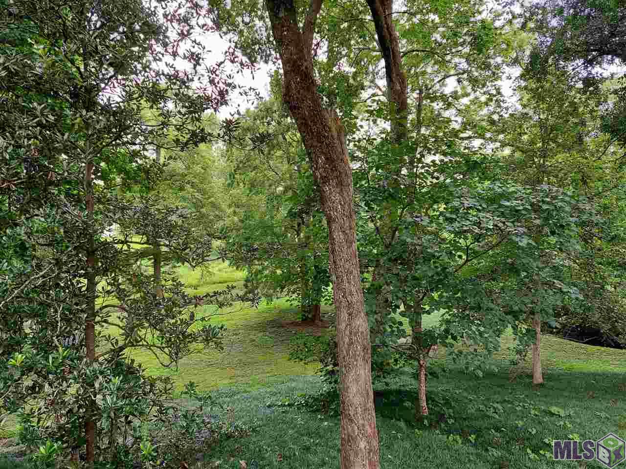 4540 Bluebell Drive Baton Rouge, LA 70808 - Photo 15 of 15 Gallery Image 15