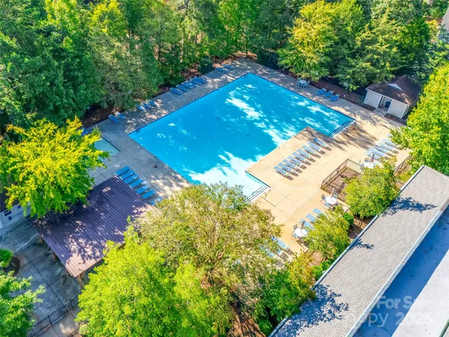 a view of a swimming pool with some potted plants