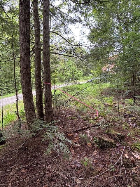44 A Trott Road Woolwich, ME 04579 - Photo 5 of 37