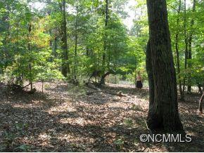 Lot 15 Travelers Rst Lake, Unit 15 Rutherfordton, NC 28139 - Photo 2 of 16