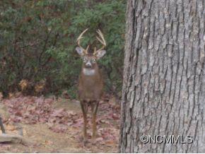 Lot 15 Travelers Rst Lake, Unit 15 Rutherfordton, NC 28139 - Photo 15 of 16