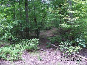 Lot 15 Travelers Rst Lake, Unit 15 Rutherfordton, NC 28139 - Photo 6 of 16