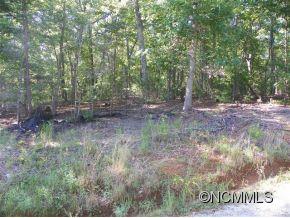 Lot 15 Travelers Rst Lake, Unit 15 Rutherfordton, NC 28139 - Photo 8 of 16