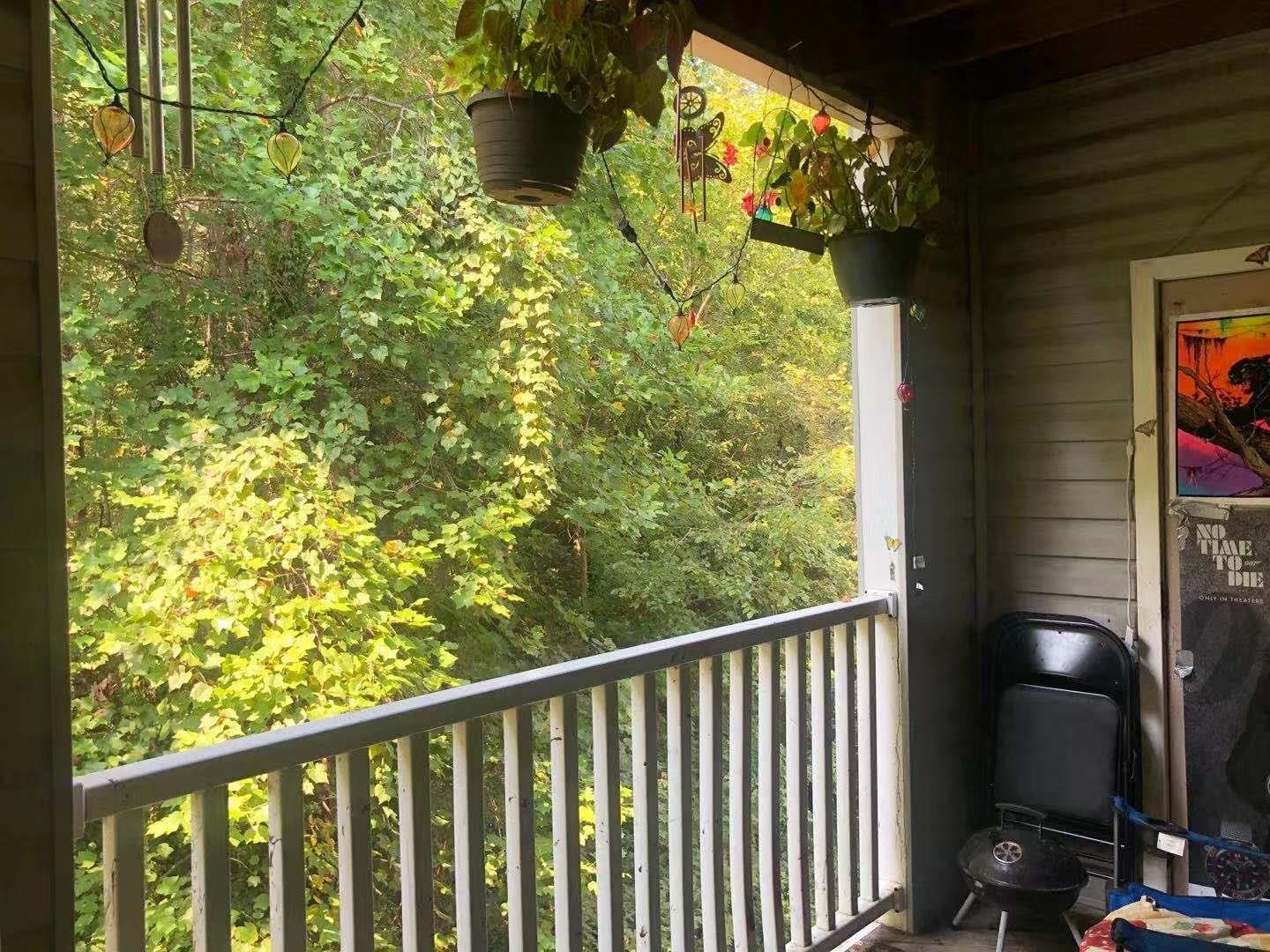 1420 Collegiate Circle, Unit 204 Raleigh, NC 27606 - Photo 5 of 5 Photo 5