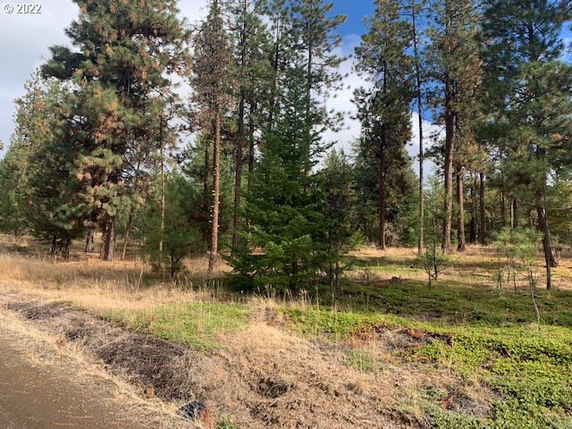Turkey Run Road, Unit 3 Goldendale, WA 98620 - Photo 1 of 8 Gallery Image 1
