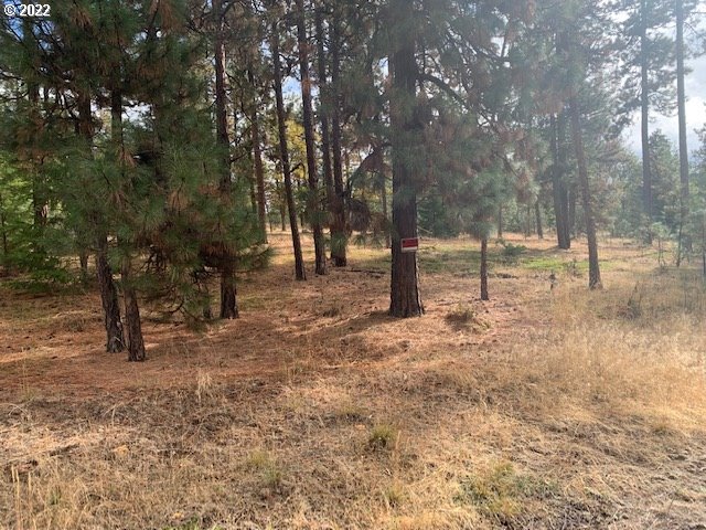 Turkey Run Road, Unit 3 Goldendale, WA 98620 - Photo 3 of 8 Gallery Image 3