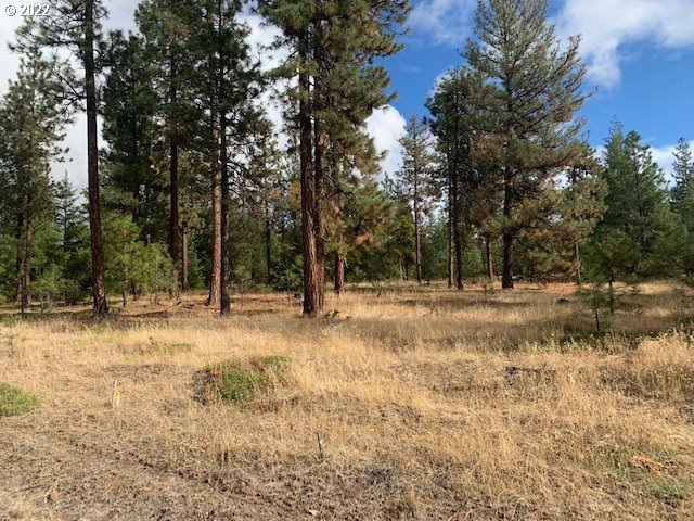 Turkey Run Road, Unit 3 Goldendale, WA 98620 - Photo 4 of 8 Gallery Image 4