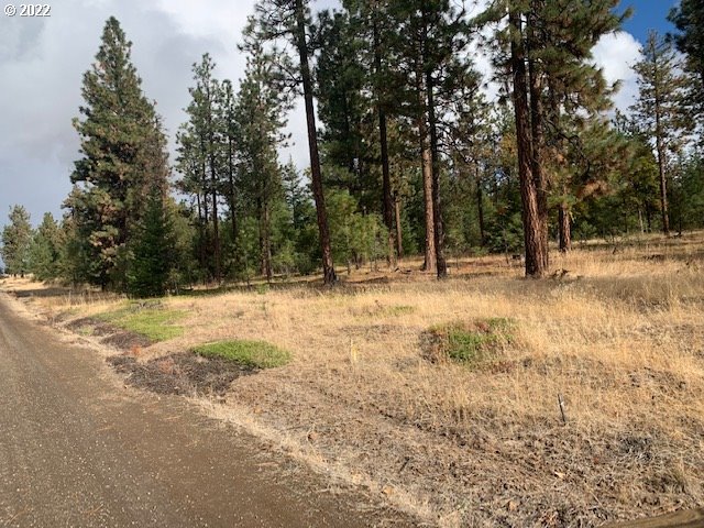 Turkey Run Road, Unit 3 Goldendale, WA 98620 - Photo 5 of 8 Gallery Image 5