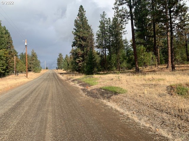 Turkey Run Road, Unit 3 Goldendale, WA 98620 - Photo 6 of 8 Gallery Image 6