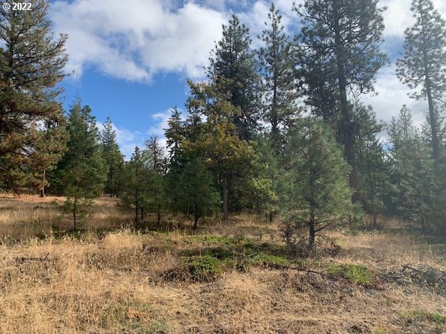 Turkey Run Road, Unit 3 Goldendale, WA 98620 - Photo 7 of 8 Gallery Image 7