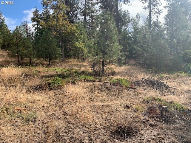 Turkey Run Road, Unit 3 Goldendale, WA 98620 - Photo 8 of 8 Gallery Image 8