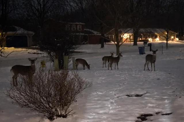 $369,900 | 3535 Bromley Drive Southeast, Grand Rapids, MI 49508