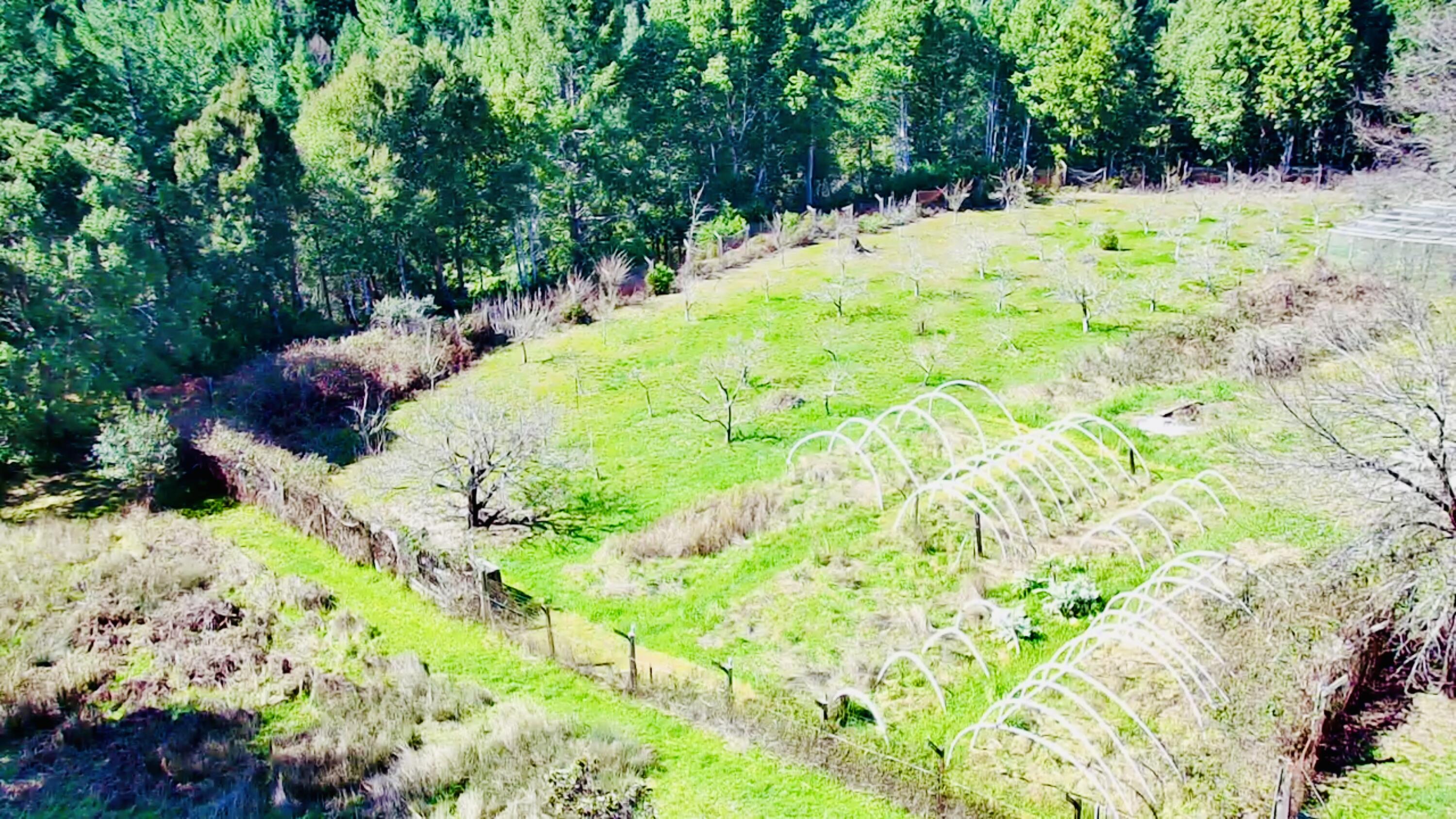 5500 Goodman Ranch Road Garberville, CA 95542 - Photo 144 of 153