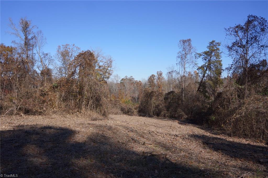 5366 A Bunch Road Summerfield, NC 27358 - Photo 11 of 19 Gallery Image 11