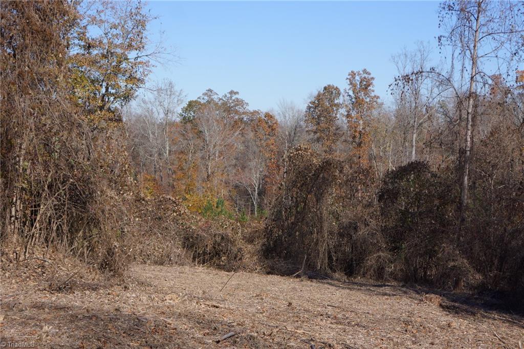 5366 A Bunch Road Summerfield, NC 27358 - Photo 12 of 19 Gallery Image 12