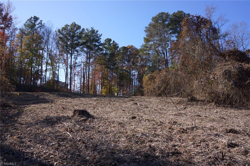 5366 A Bunch Road Summerfield, NC 27358 - Photo 13 of 19 Gallery Image 13