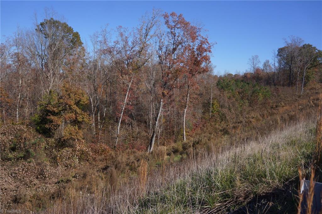 5366 A Bunch Road Summerfield, NC 27358 - Photo 15 of 19 Gallery Image 15