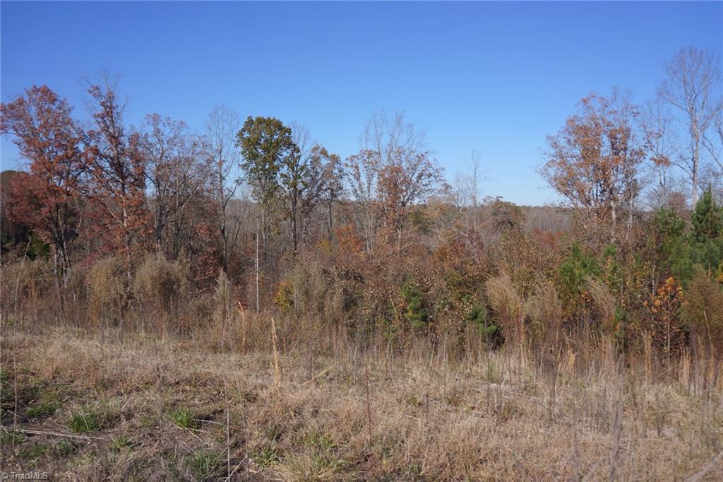 5366 A Bunch Road Summerfield, NC 27358 - Photo 16 of 19 Gallery Image 16