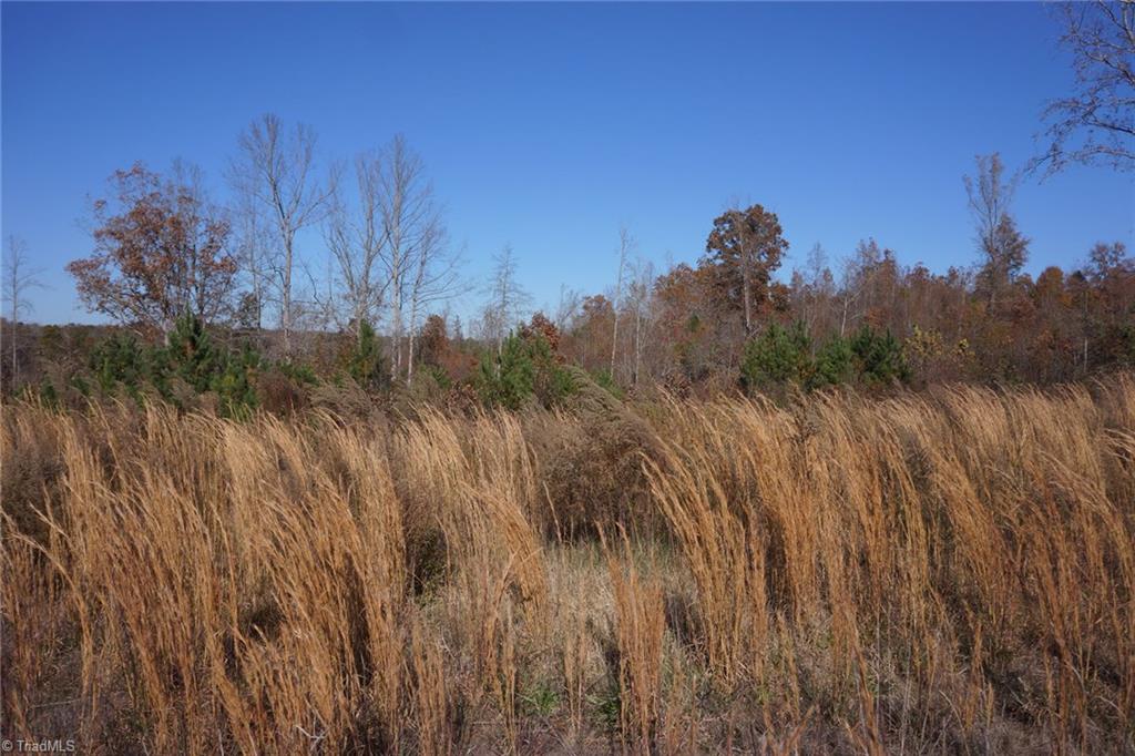 5366 A Bunch Road Summerfield, NC 27358 - Photo 17 of 19 Gallery Image 17