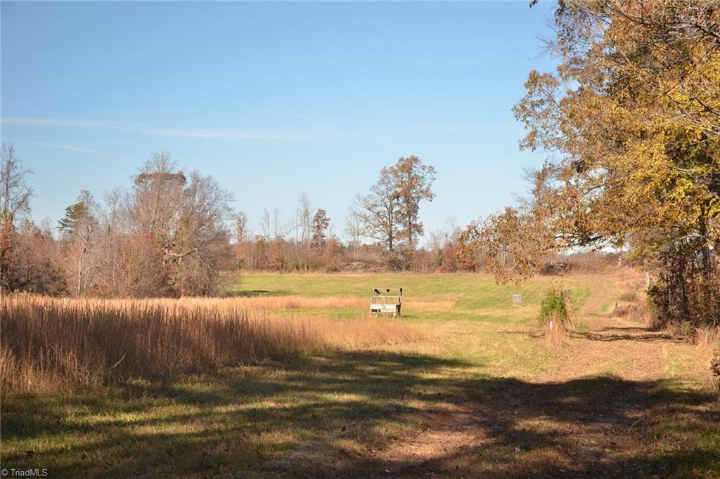 5366 A Bunch Road Summerfield, NC 27358 - Photo 6 of 19 Gallery Image 6