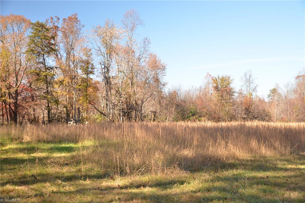 5366 A Bunch Road Summerfield, NC 27358 - Photo 7 of 19 Gallery Image 7