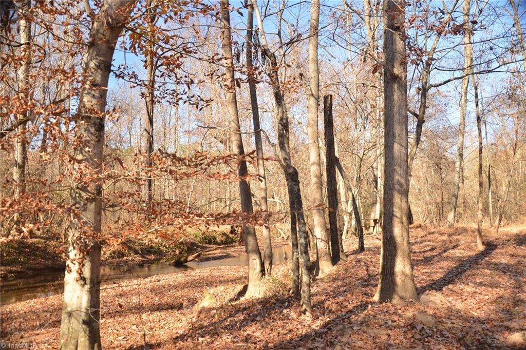 5366 A Bunch Road Summerfield, NC 27358 - Photo 8 of 19 Gallery Image 8