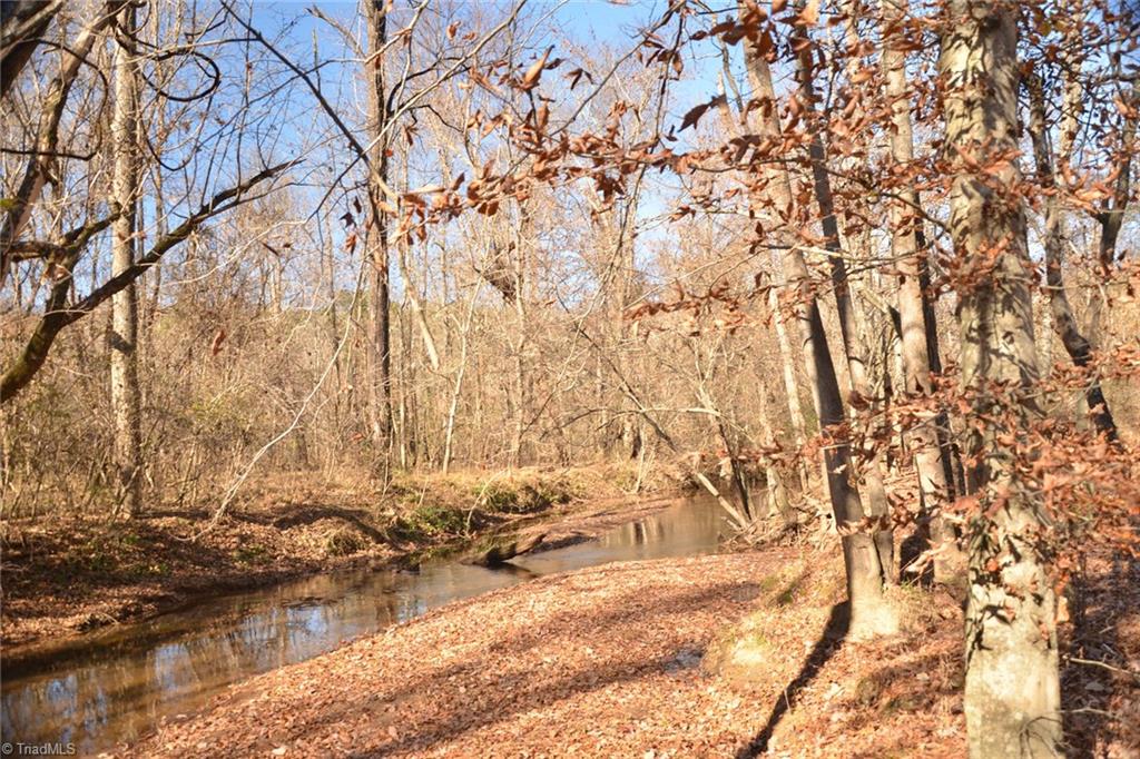 5366 A Bunch Road Summerfield, NC 27358 - Photo 10 of 19 Gallery Image 10