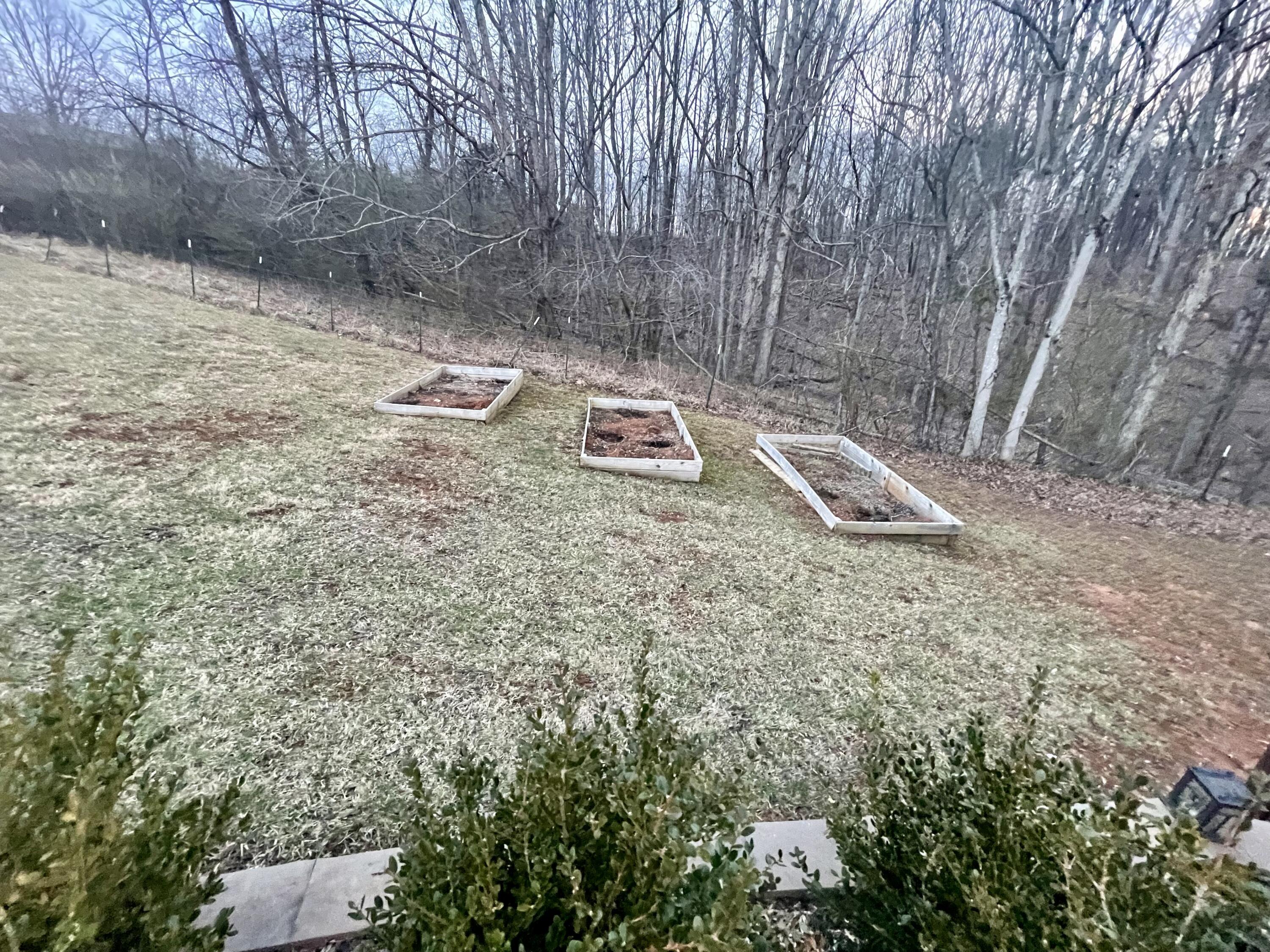 2143 Deep Woods Road Hardy, VA 24101 - Photo 26 of 27 a backyard of a house with chairs and trees