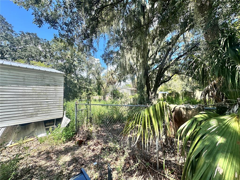 9011 Carey Road Lithia, FL 33547 - Photo 4 of 16 Gallery Image 4