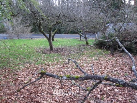 2024 Cedar Road Lake Stevens, WA 98258 - Photo 9 of 15
