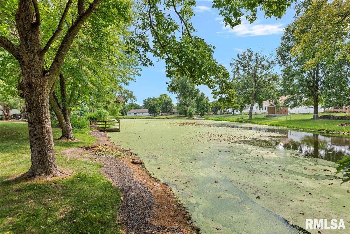 14441 Heritage Point Athens, IL 62613 - Photo 43 of 52 Gallery Image 43