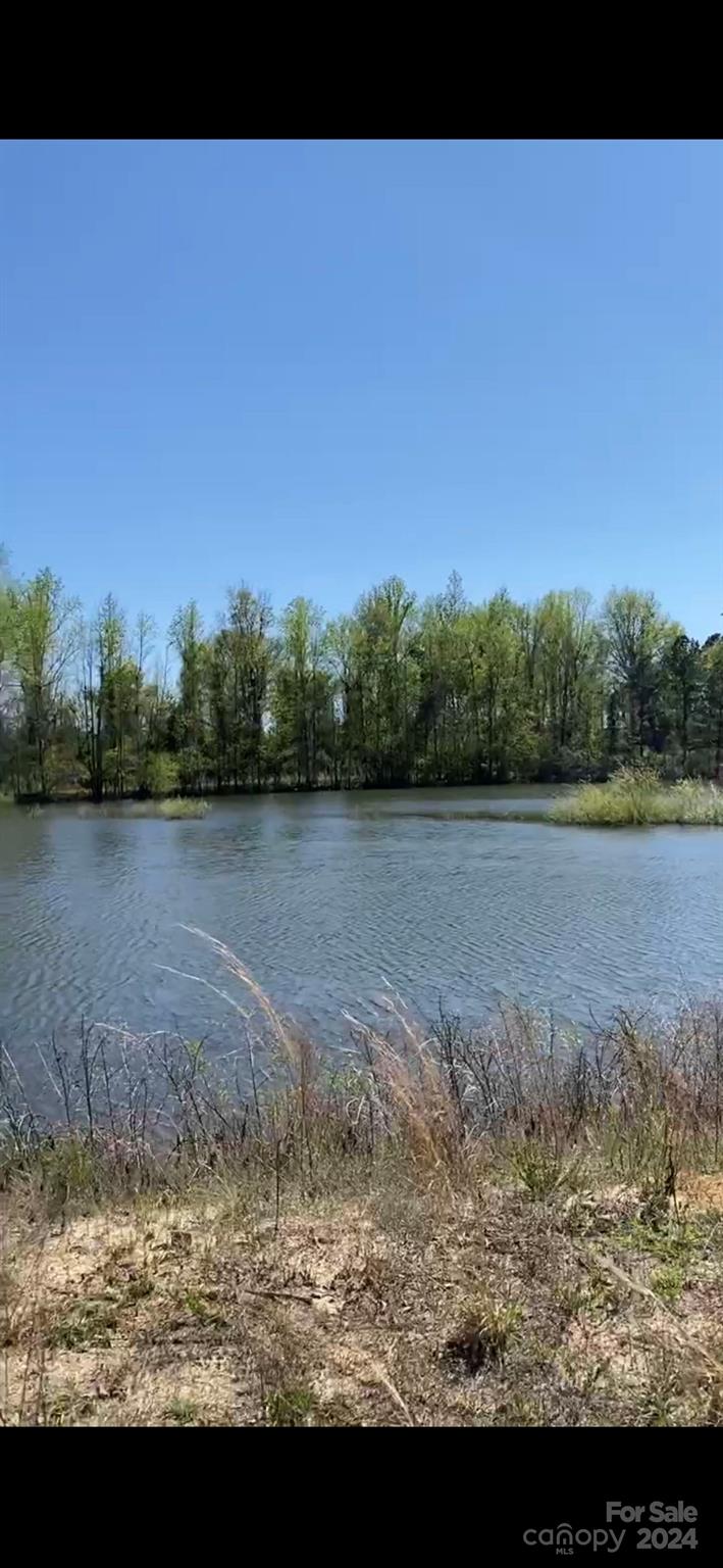 1824 Germantown Place Dillon, SC 29536 - Photo 13 of 16 a view of a lake view