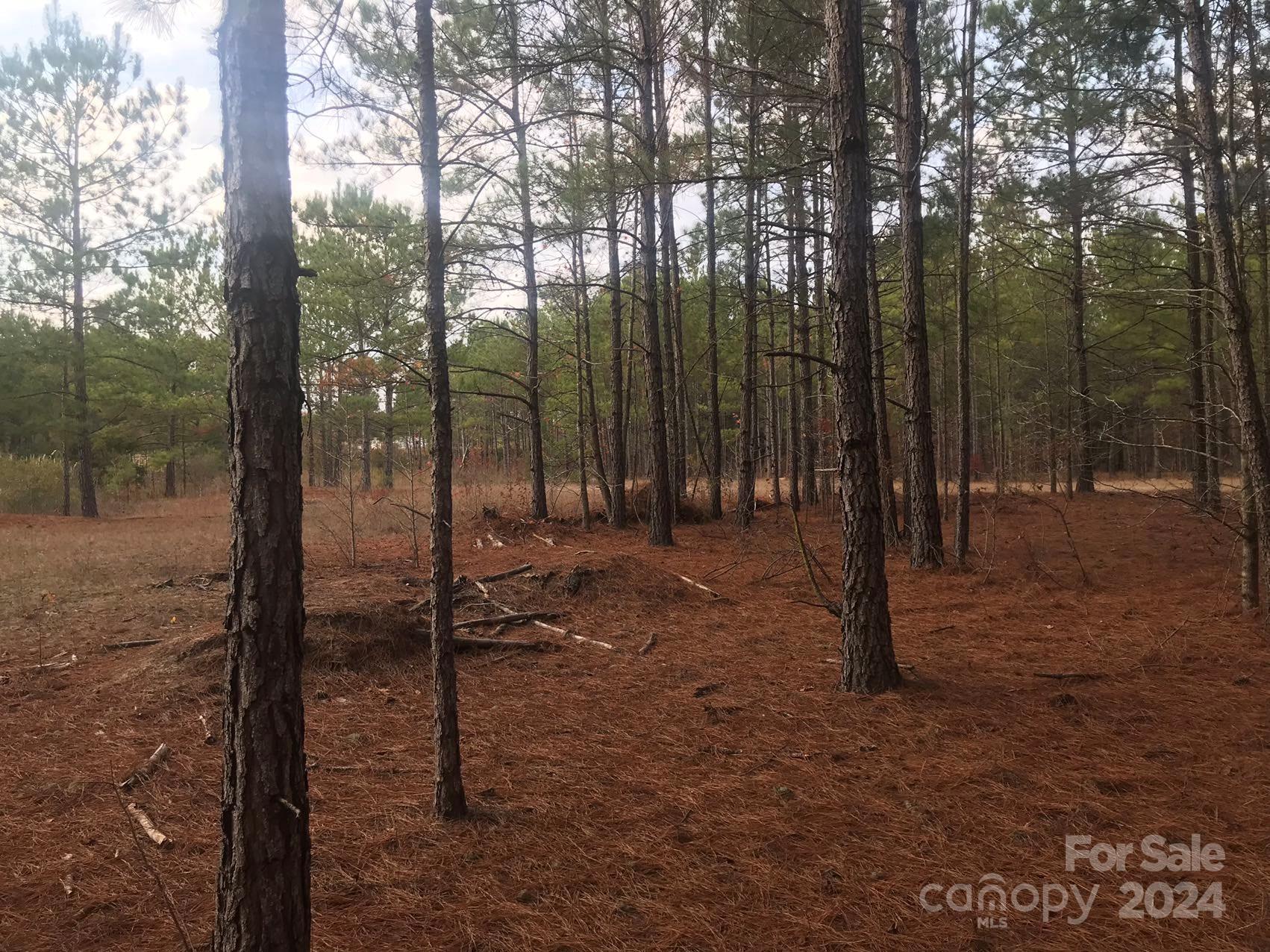 1824 Germantown Place Dillon, SC 29536 - Photo 15 of 16 a view of outdoor space with deck