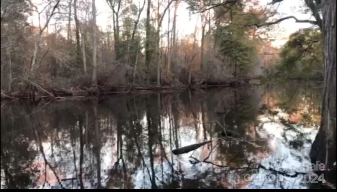 1824 Germantown Place Dillon, SC 29536 - Photo 16 of 16 a view of river covered with trees
