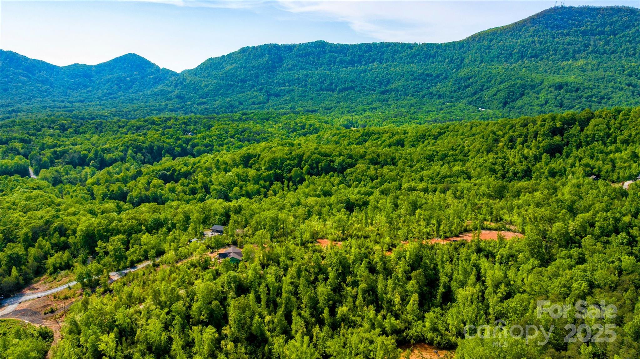 1 Constant Lane Columbus, NC 28722 - Photo 3 of 11 a view of a lush green hillside and a building