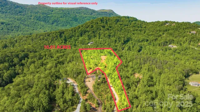 a view of a bunch of flowers