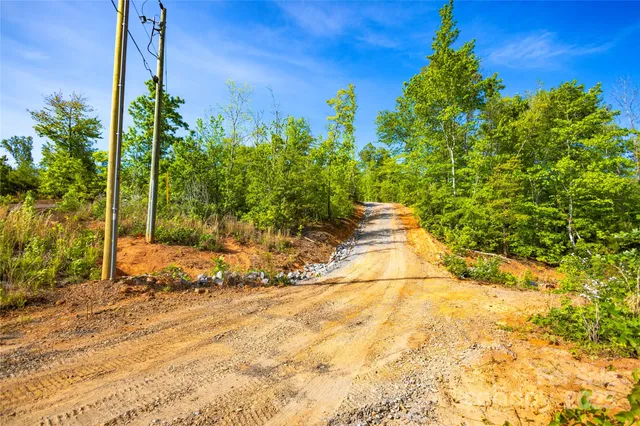 a view of a lush green field