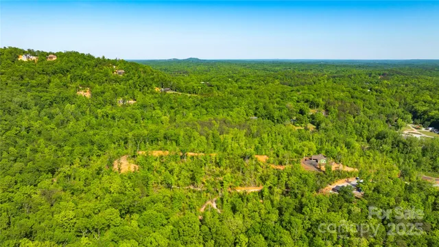 a view of a lush green space